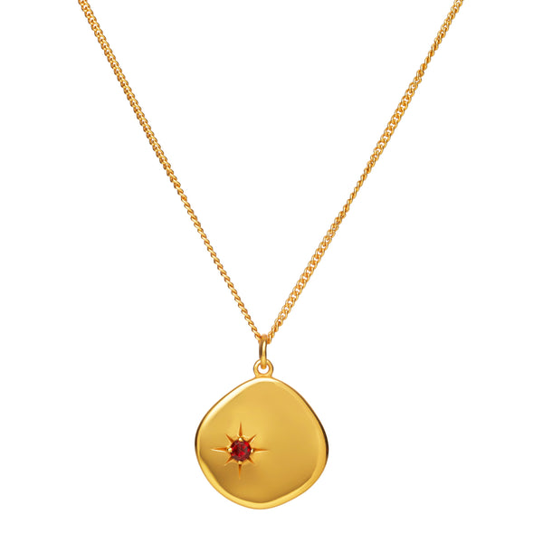 January Birthstone Necklace - 18 karat gold vermeil on sterling silver, garnet